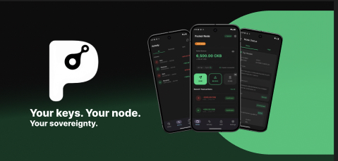 Pocket Node tweet media