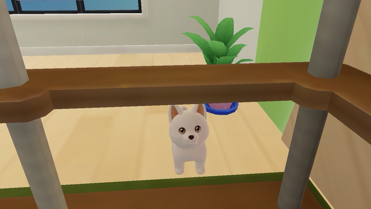 くろねこ🐈‍⬛🐾 tweet media