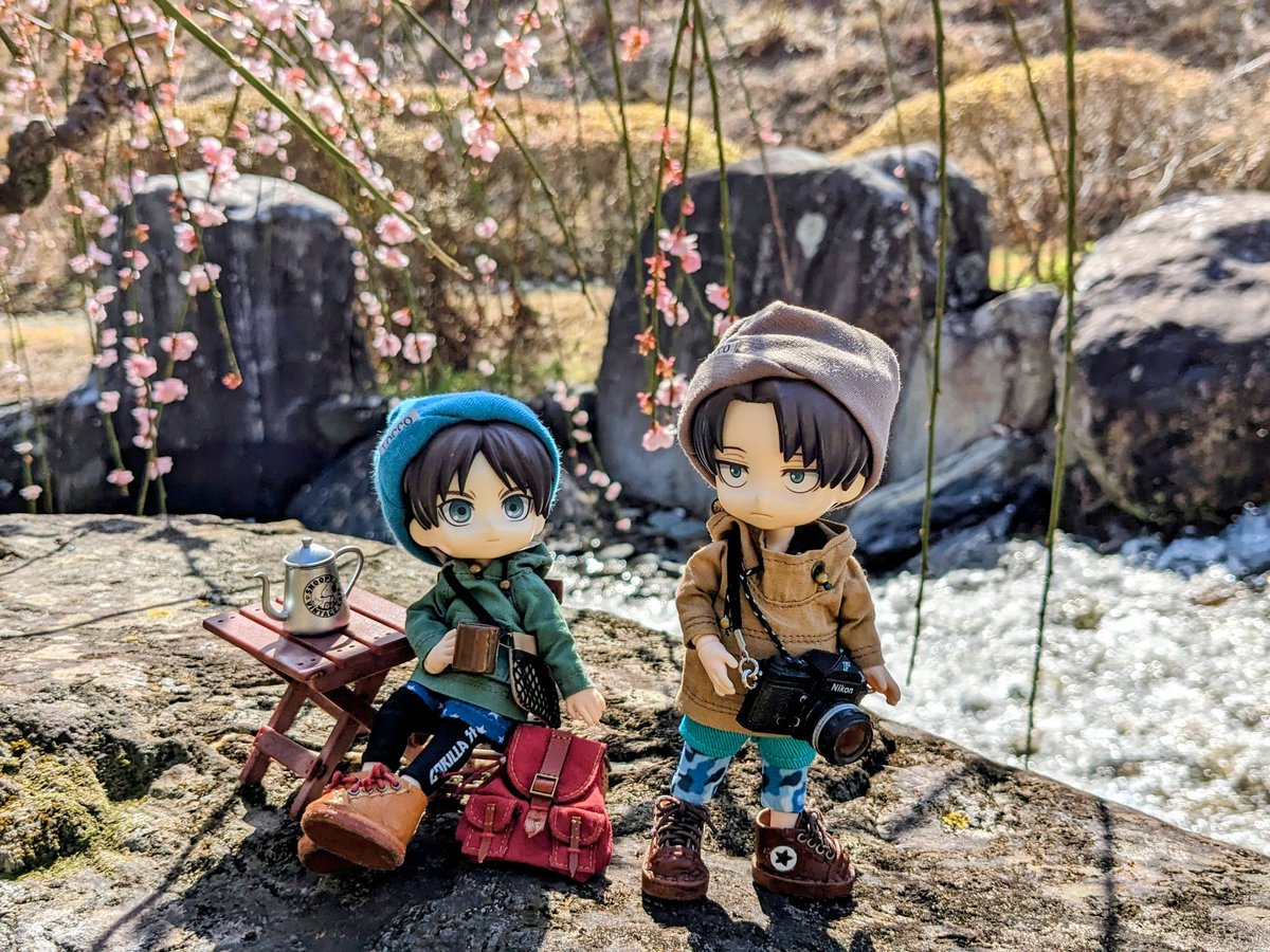 おるじぇ tweet media