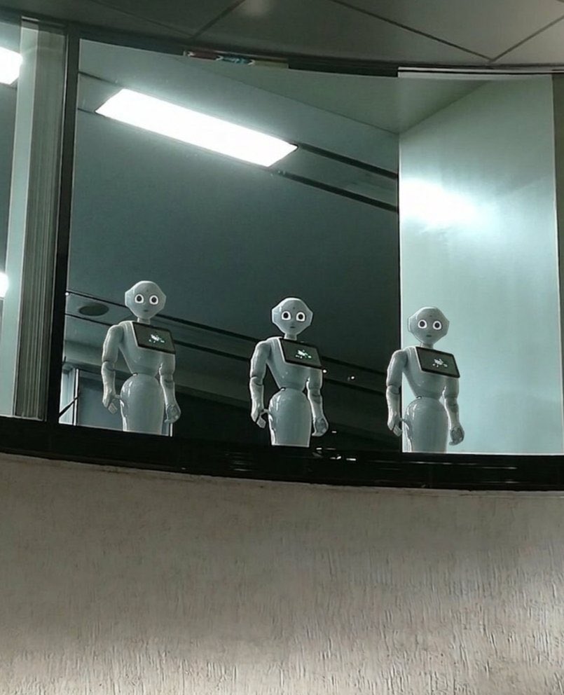 奈良漬け tweet media