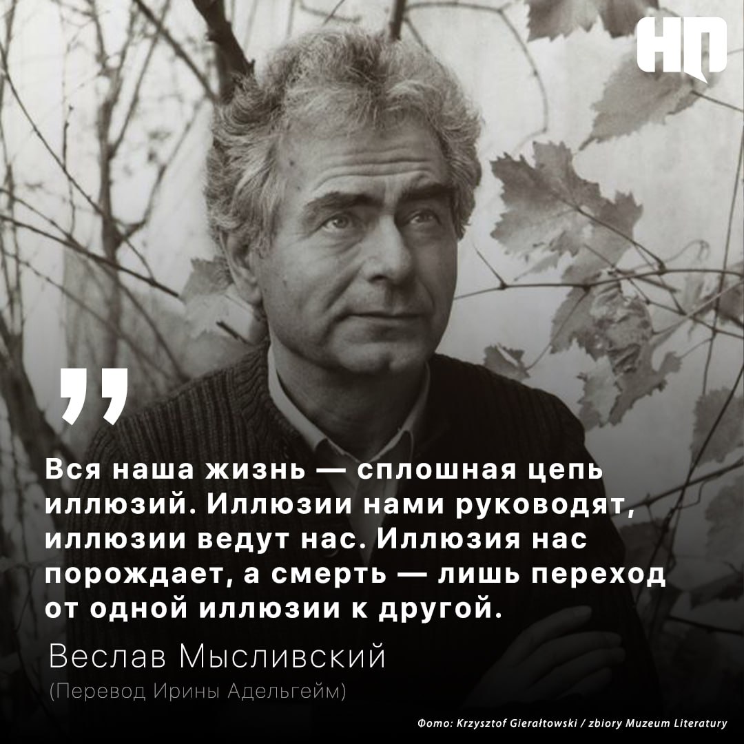 Новая Польша tweet media