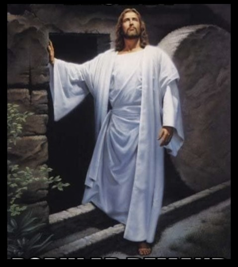 Norb Stenzel tweet media