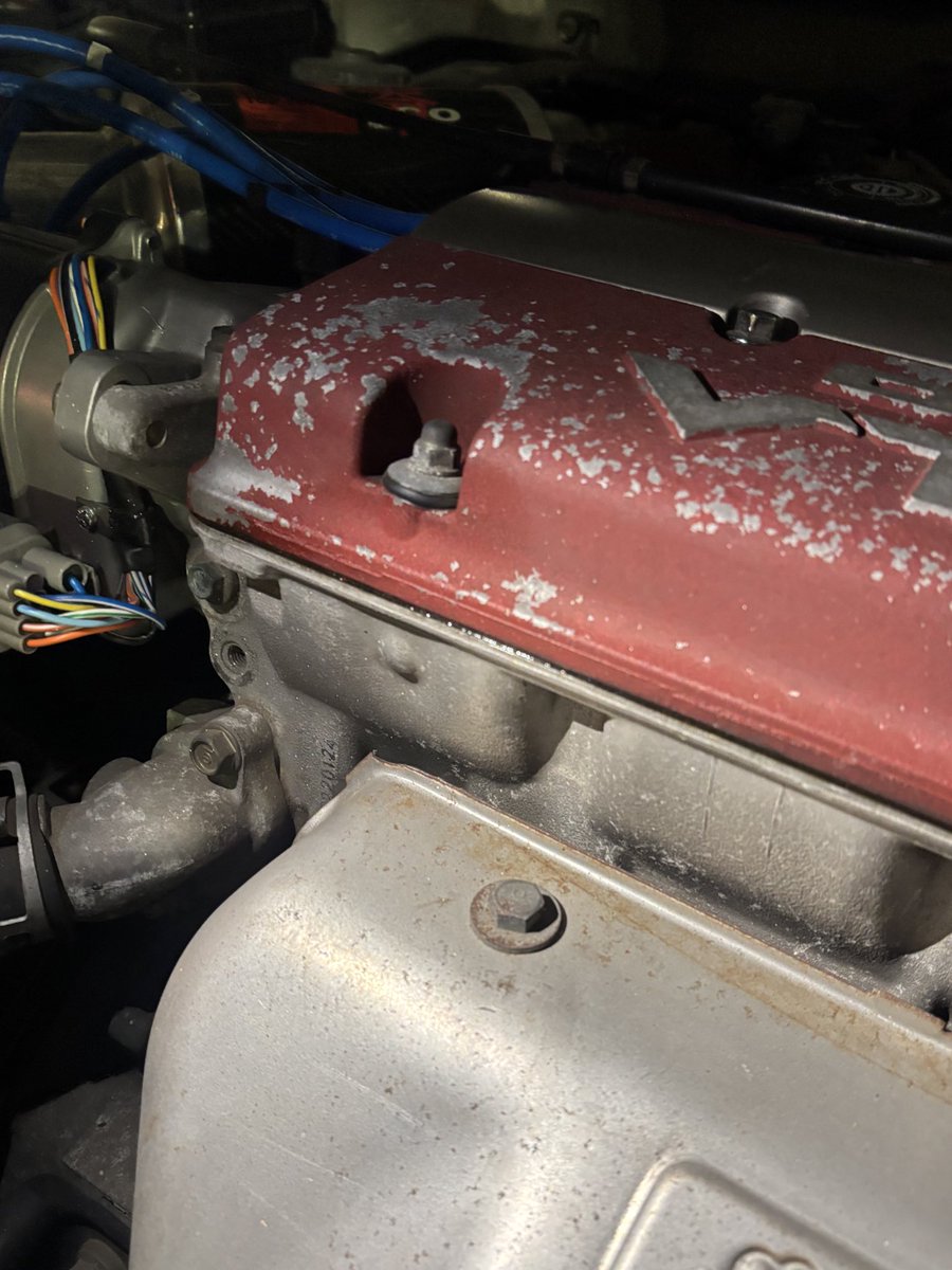 めぃぷる tweet media