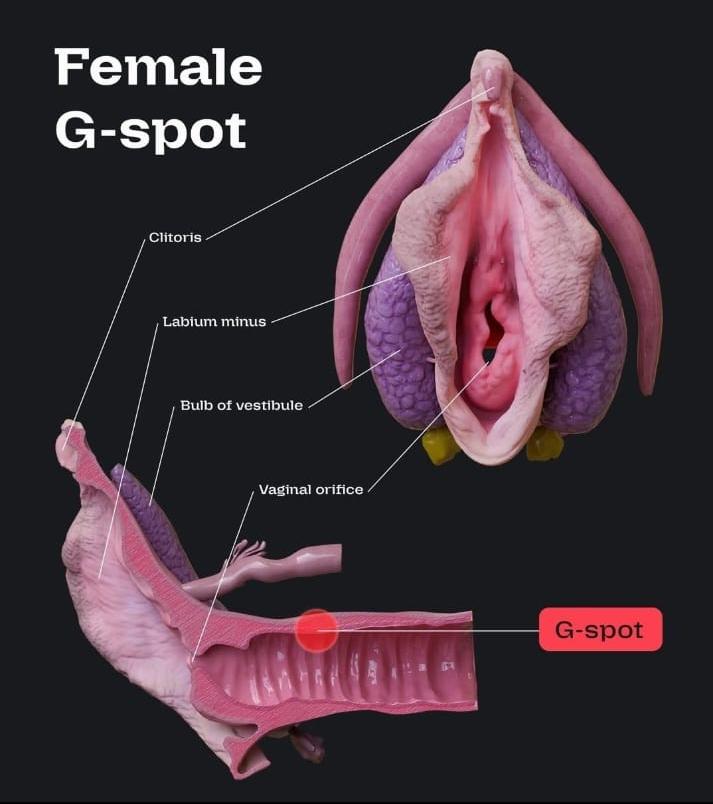 Learn Doctor tweet media