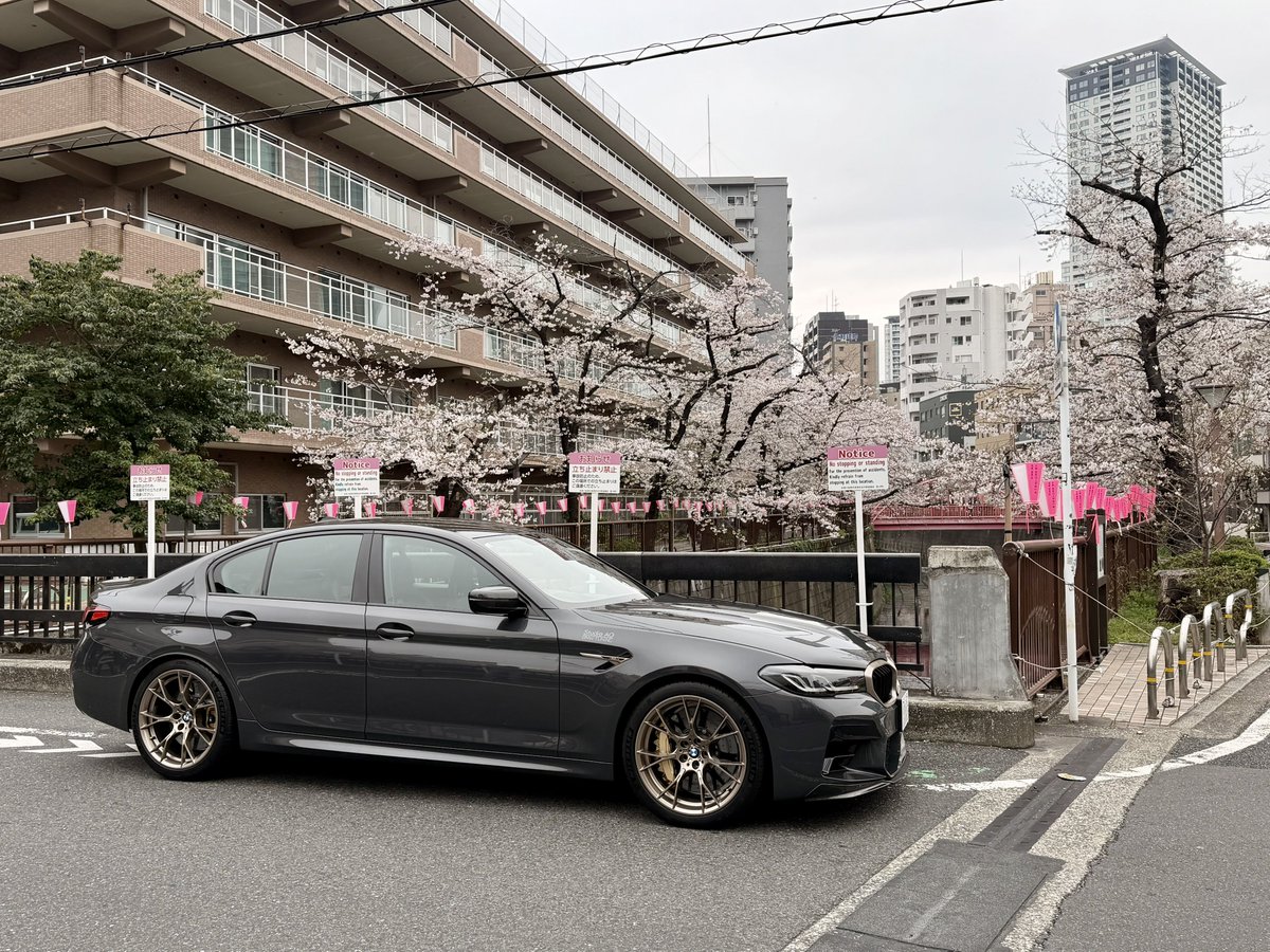 抹茶🍵 tweet media