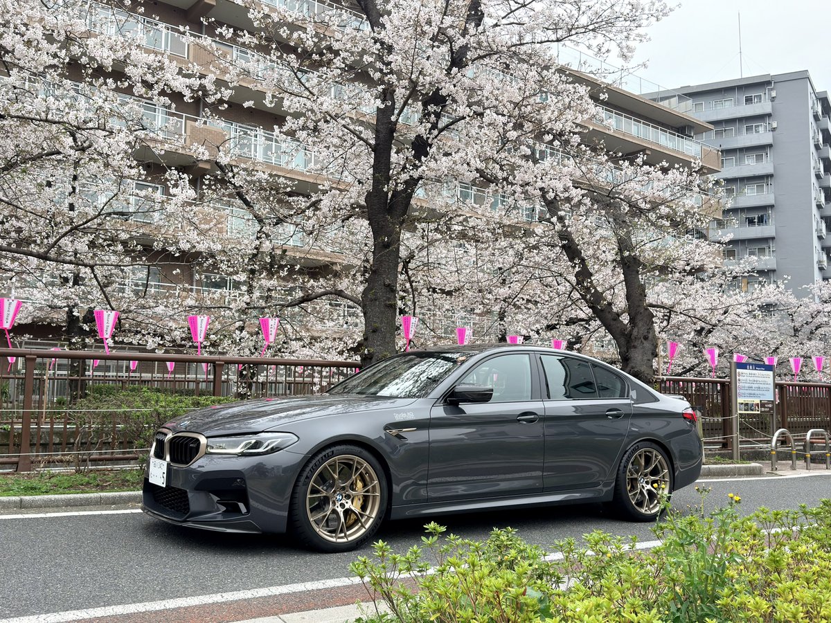 抹茶🍵 tweet media