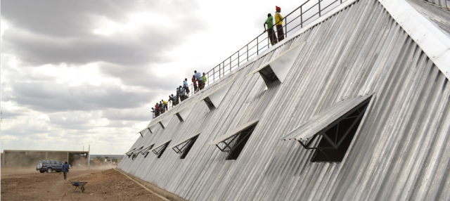 Kenya Vibes 🇰🇪 tweet media