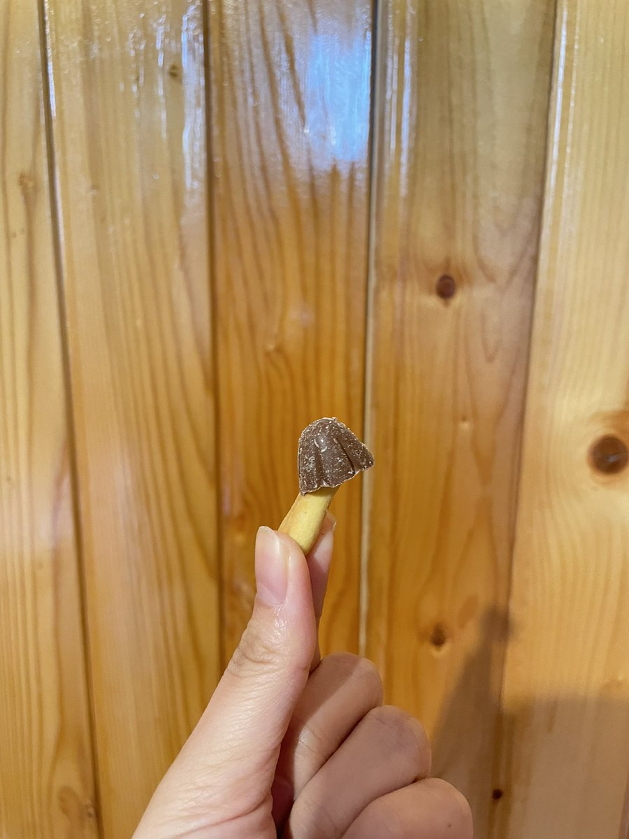wkm2896's tweet photo. きのこの山に似てて気になっていた『Choco Boy』を食べてみたのでメモ🍄

･チョコ
砂糖の甘さが強い（きのこの山はミルクの甘さみたいなイメージ）

･ビスケット
若干塩味を感じた

【総括】
おいしい！けど、きのこの山とは別だと思って食べた方がいいかも🤔 https://t.co/b2GnDwCWUZ