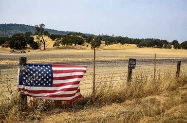 CJ4America2 tweet media