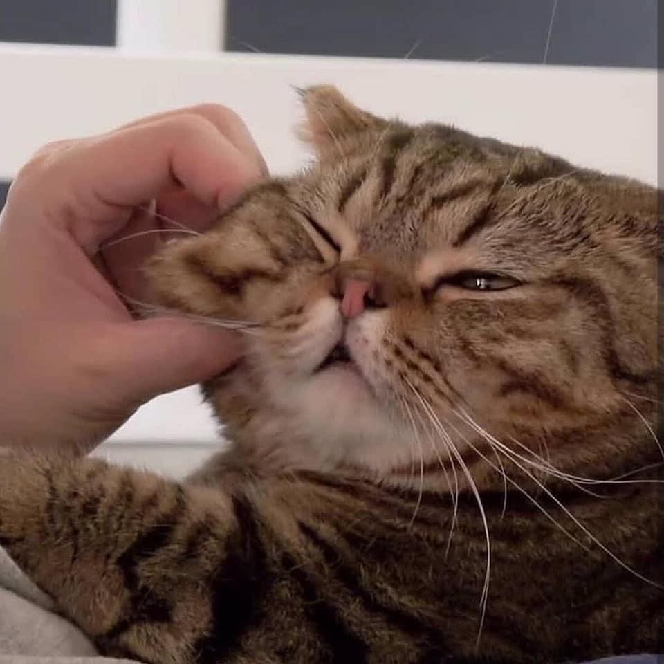 <a href="/CwrNew/">NuNew</a> 5555555 
กลัวป่วย ไม่สบาย ❌
กลัวกินข้าวไม่อร่อย ✅
หมั่นเข้วววววว