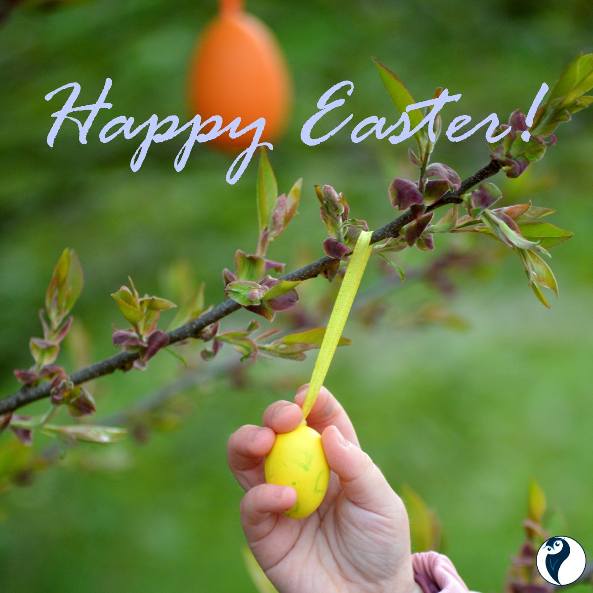 Dear #medtech community, partners and friends,

We send out our warmest wishes for a peaceful, relaxing #Easter break. 
Evnia offices in #Denmark #Aarhus and #Copenhagen will be closed until April 7th!

#happyeaster #easterbunny #eastersunday #easterholidays #καλοπασχα #godpaske