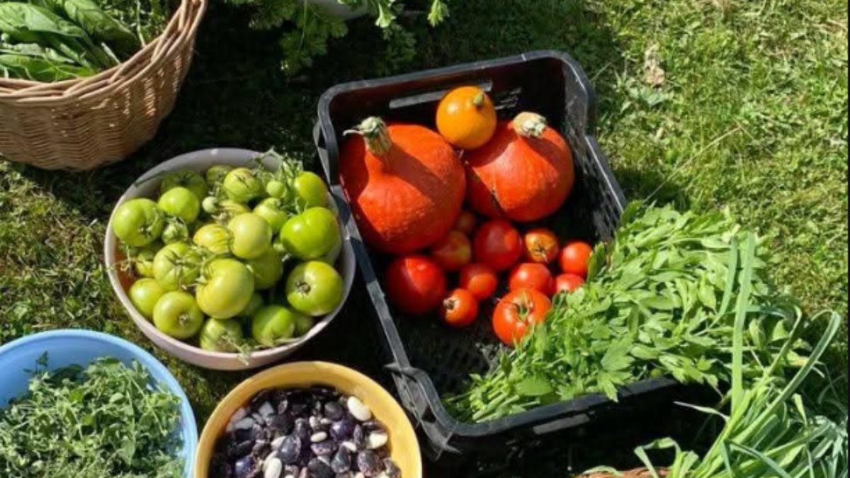 Tarımdan Haber tweet media