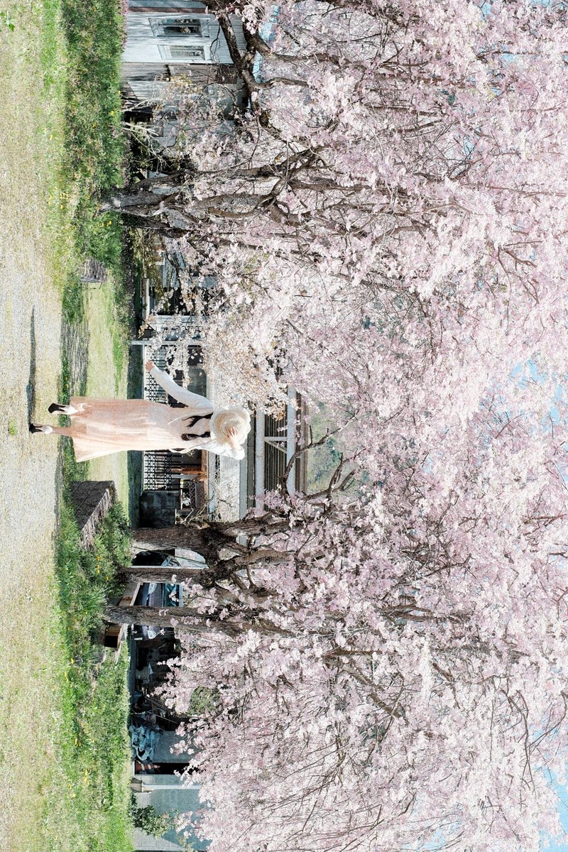 yu-san@岡山 portrait tweet media