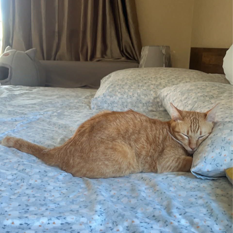 𝑎𝑑𝑜𝑟𝑎𝑏𝑙𝑒 𝑝 🎀 ˚ ༘♡ tweet media