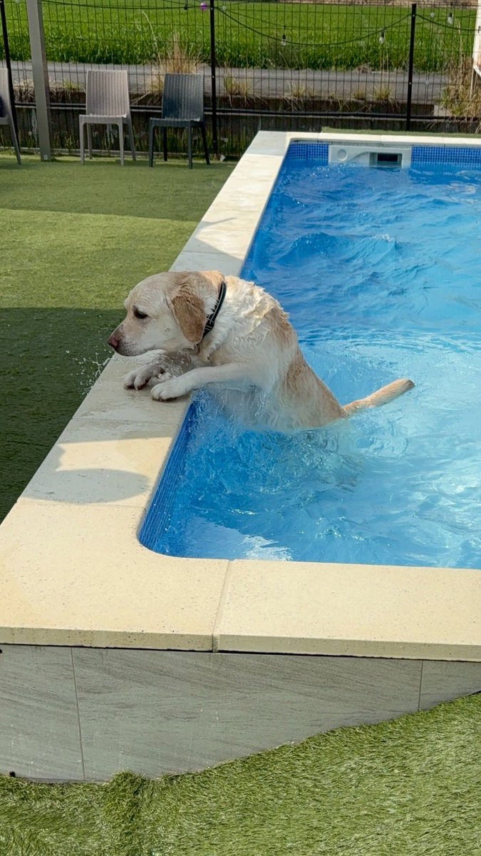 そら&バディ🐾 tweet media