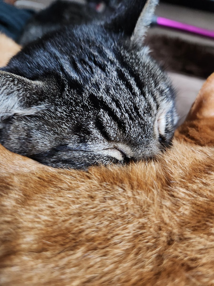 ＡＫＡＲＩ tweet media