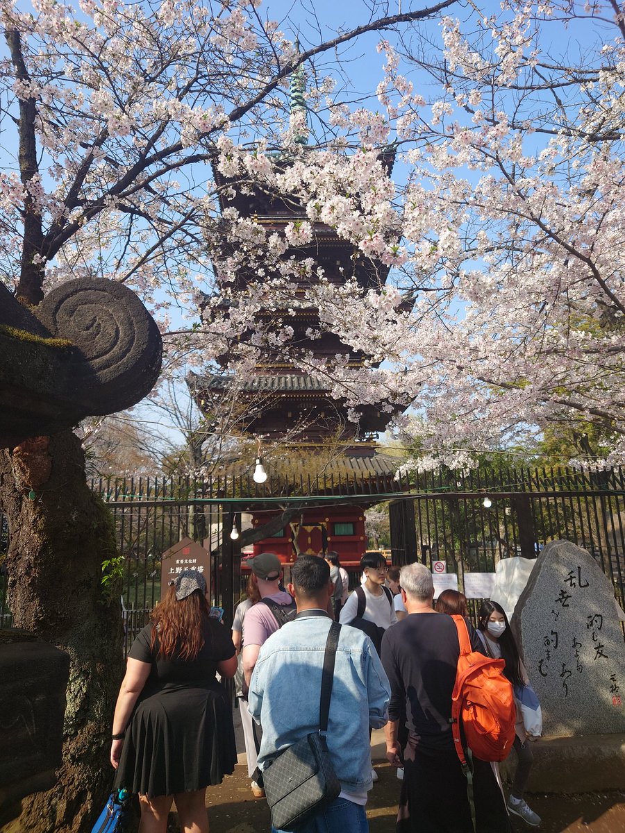 MZOO(マサ) tweet media