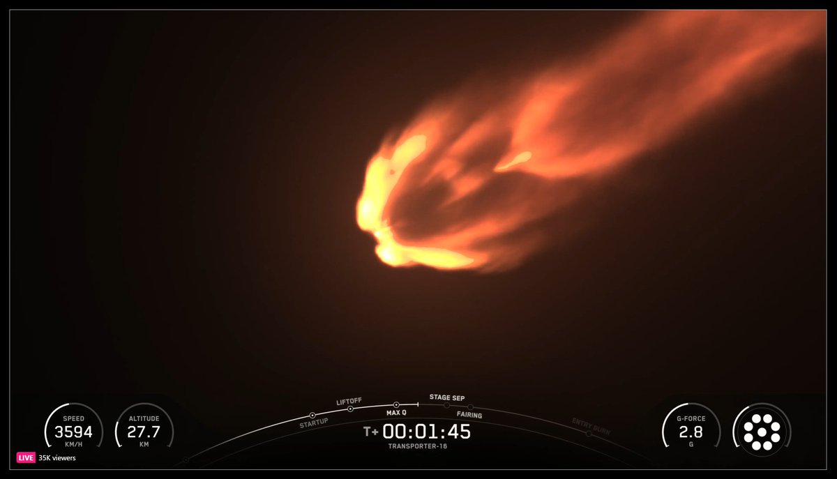 溶けかけてるうさぎ tweet media