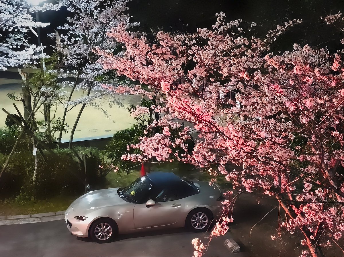 Meg★ND Navy Top tweet media