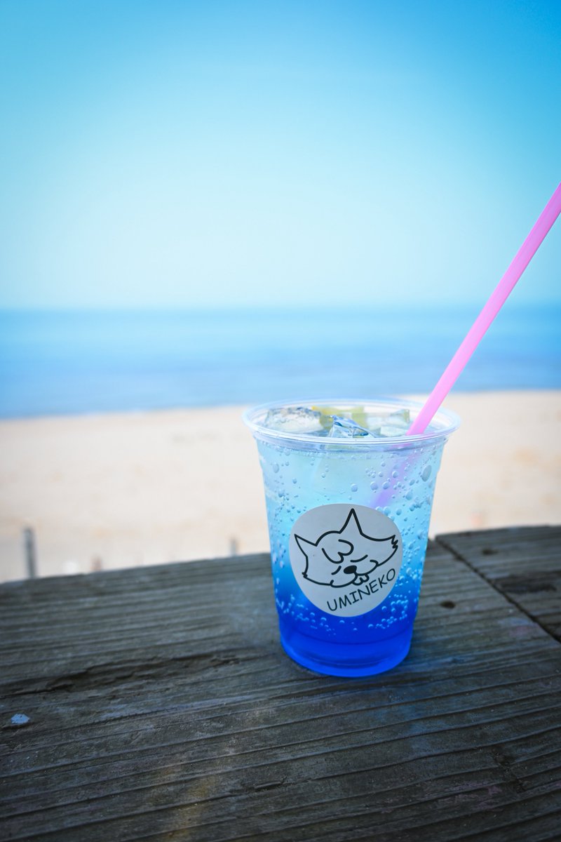 さめ🦈 tweet media