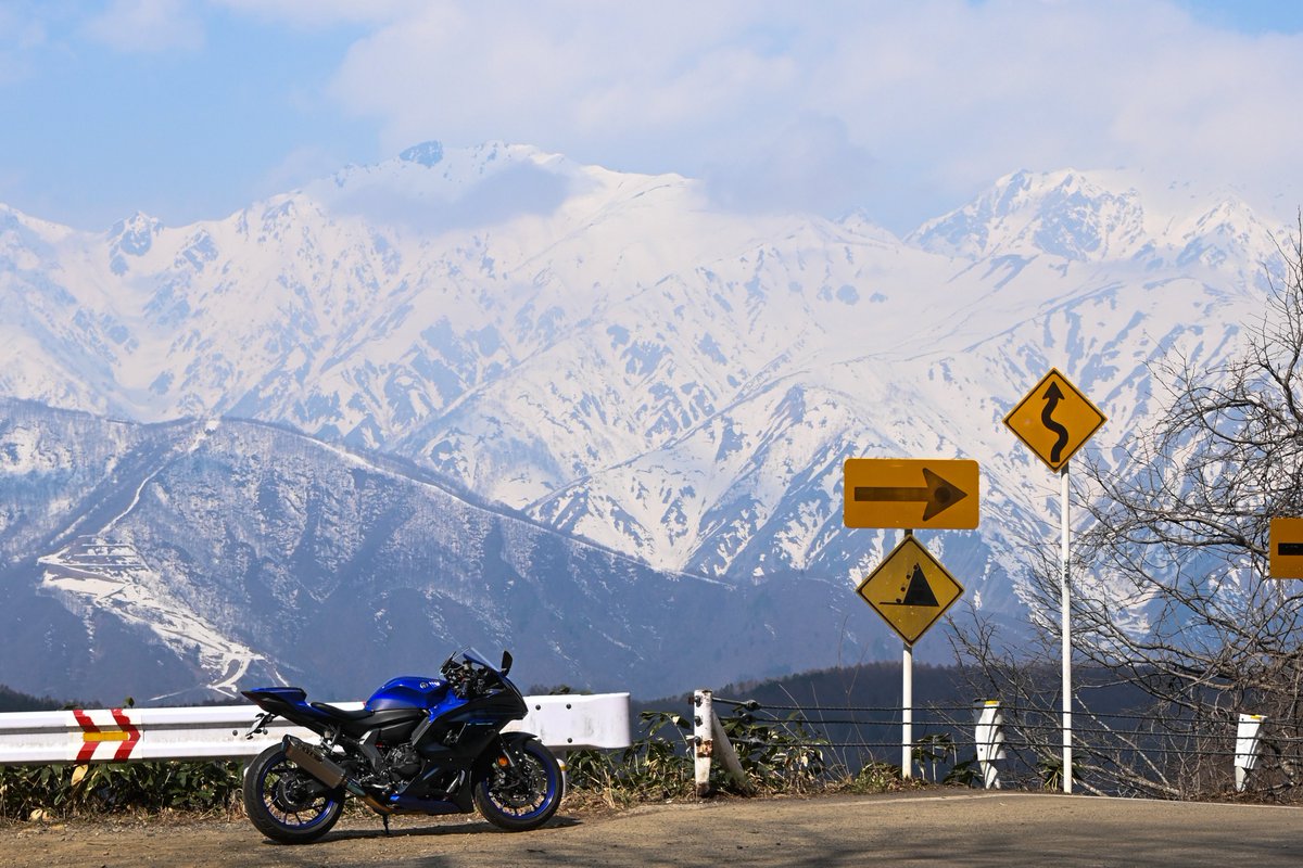 さめ🦈 tweet media