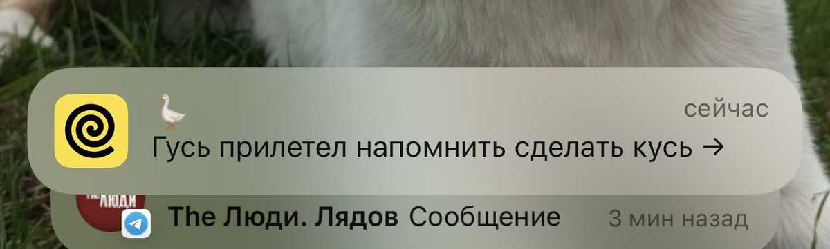 Лидер мнений, которых никто не спрашивал tweet media