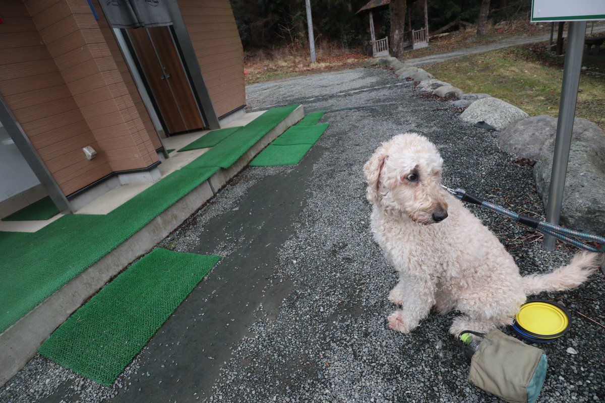 ライ太さん tweet media