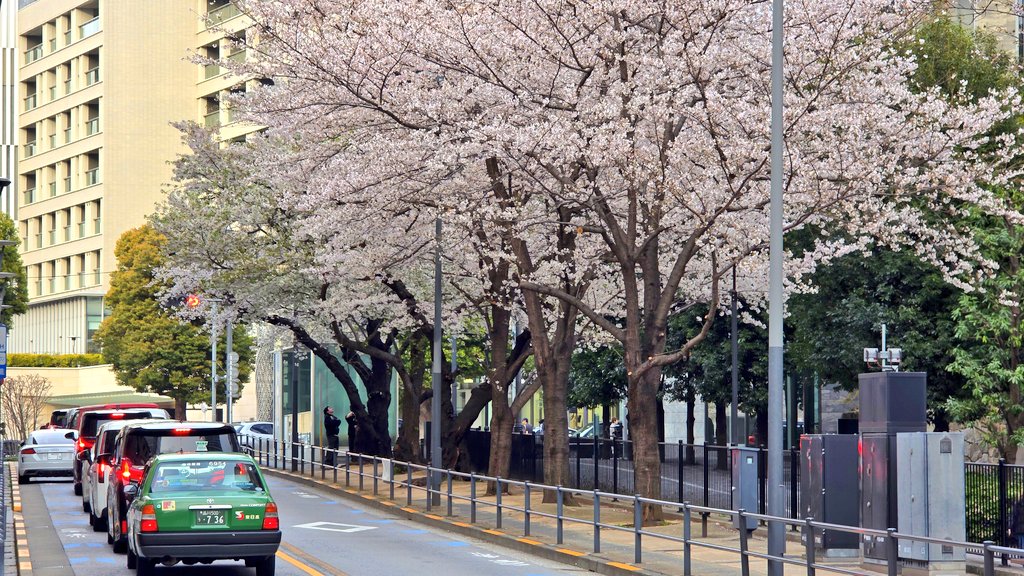 주로먹는사람 tweet media