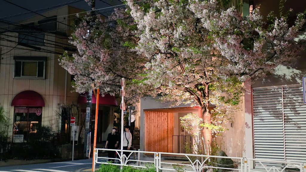 주로먹는사람 tweet media