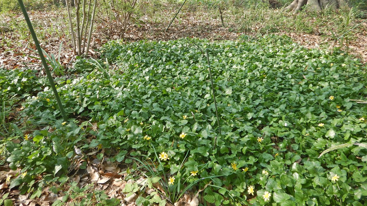 SATO Masahiro tweet media