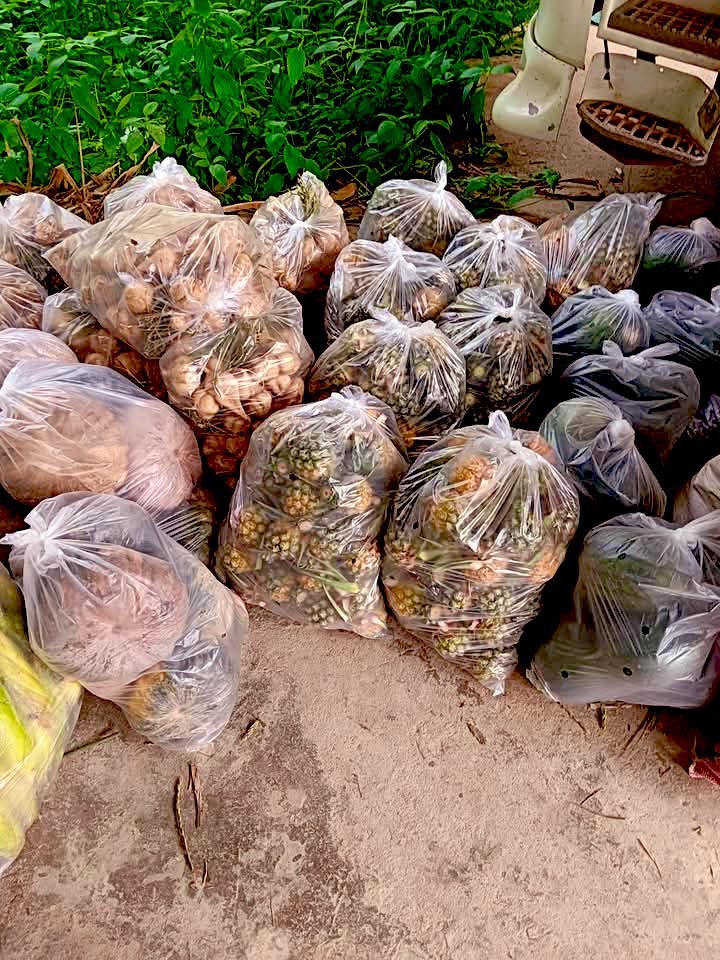 น้องช้างFamily🐘🐘🐘 tweet media