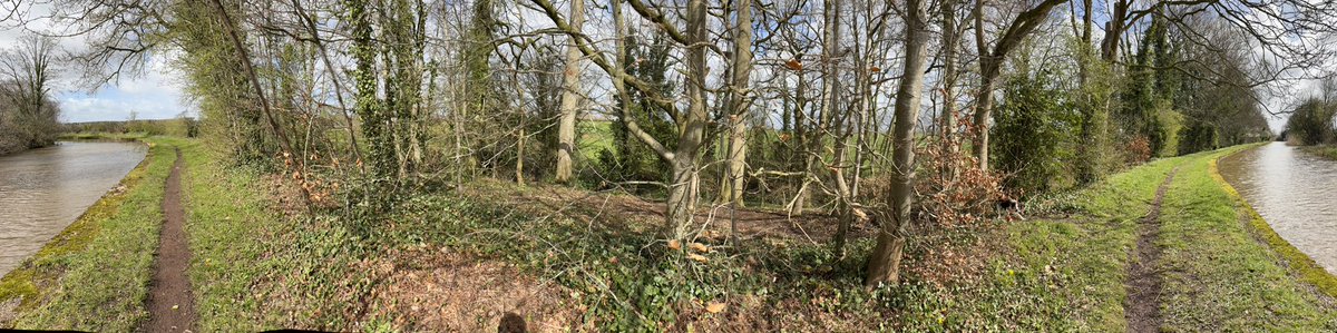 Puppy Bess and Auntie Kes tweet media