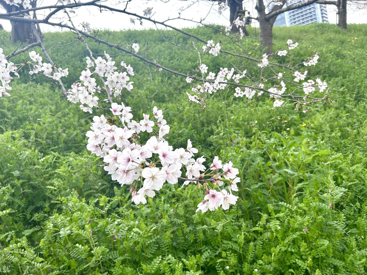 元・FMひらかた（周波数FM77.9MHz） tweet media