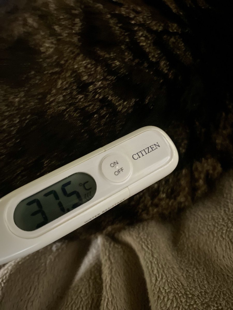 YorieGames tweet media