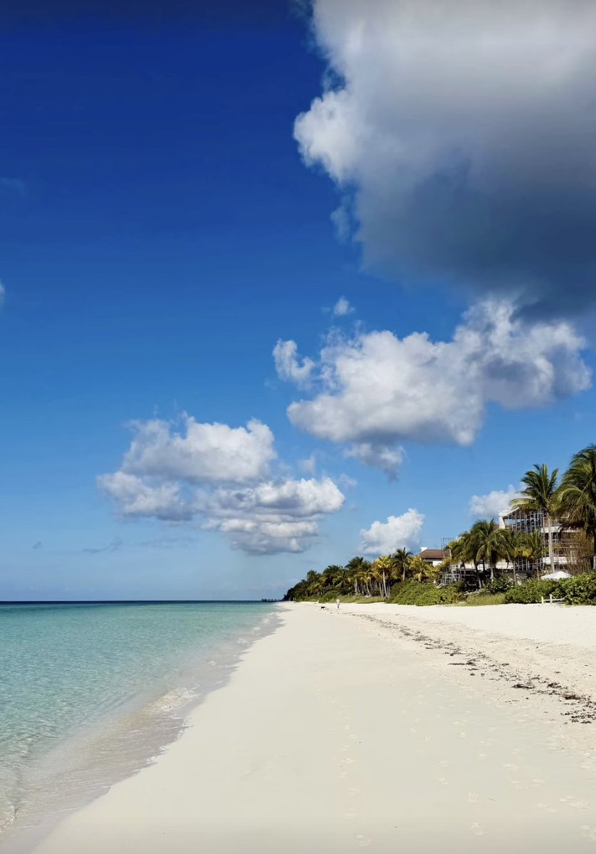 Judith Grohmann🇦🇹🇪🇺🇮🇱 tweet media