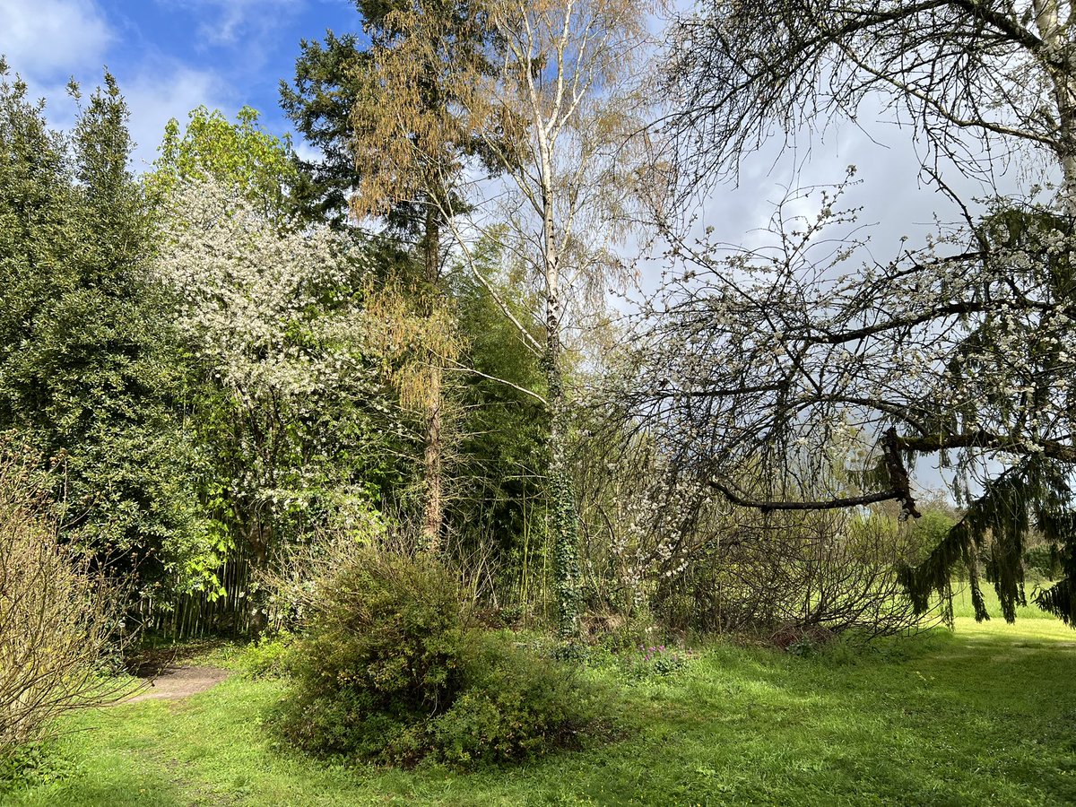 Frédéric Manfrin tweet media