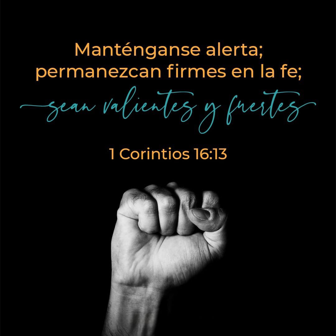 Defensa Adventista tweet media