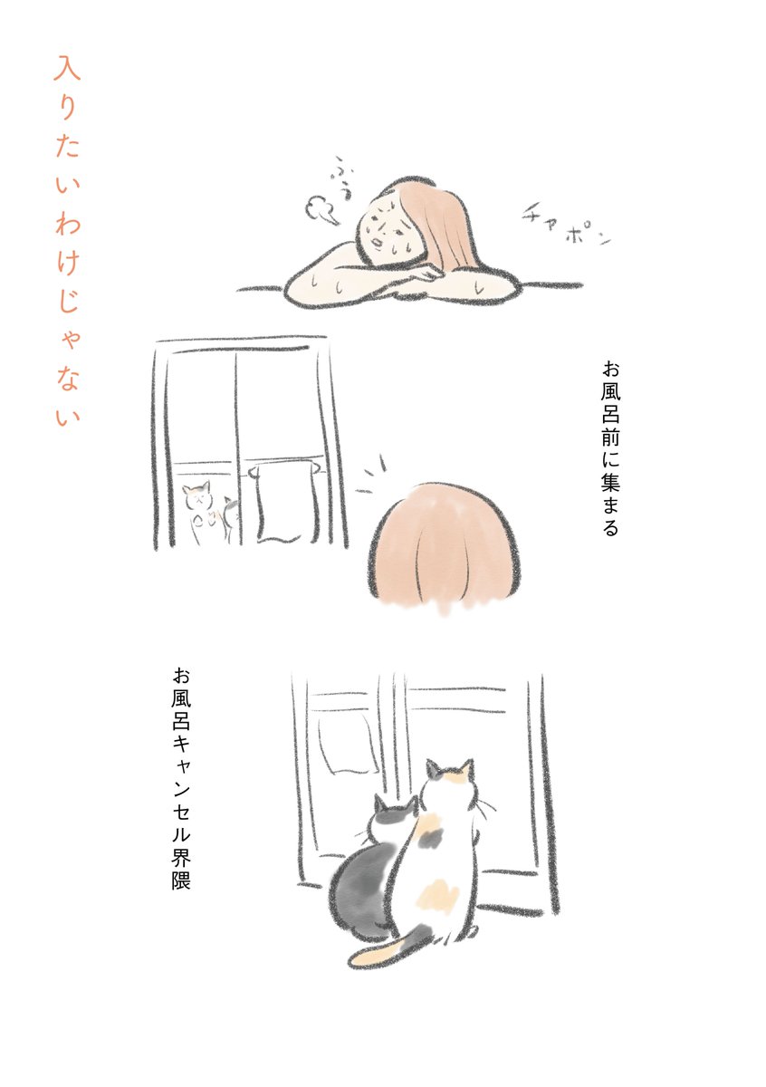 (6/6) 