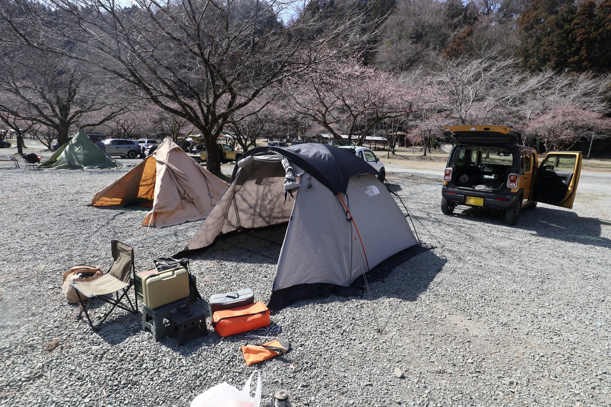 ライ太さん tweet media