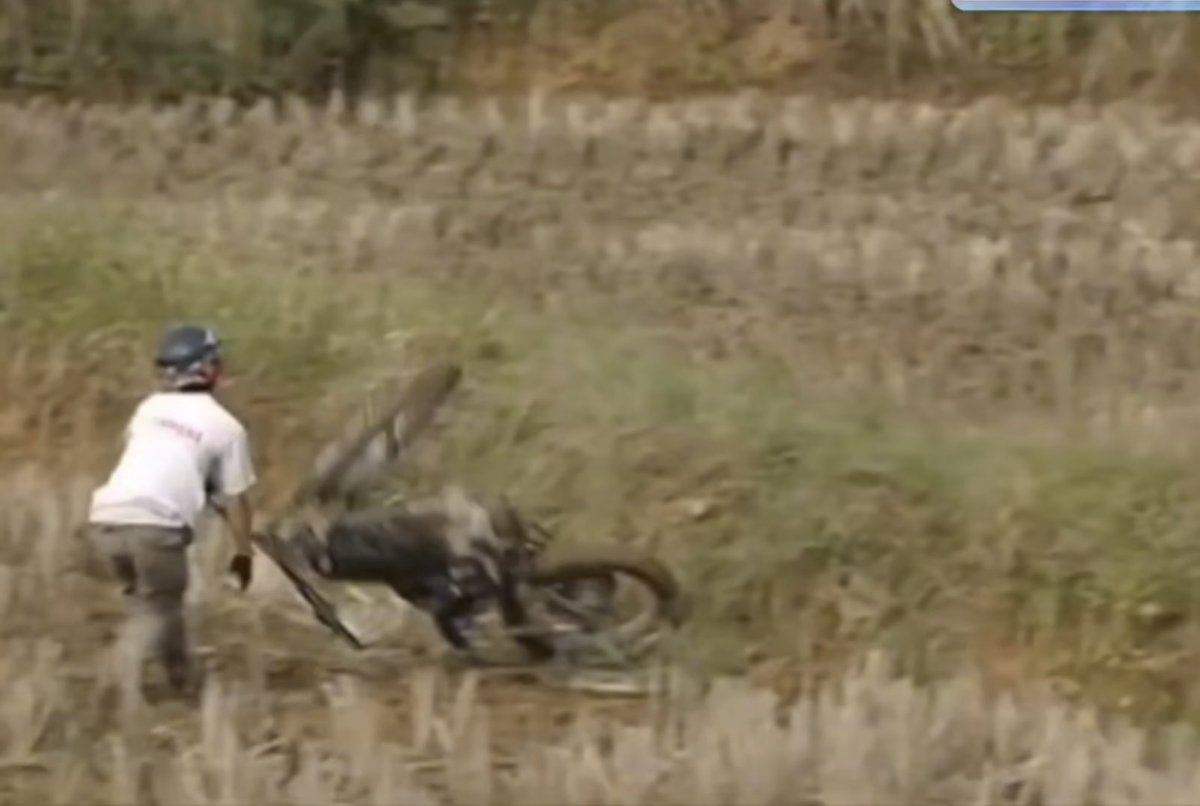 Saka Masato(愛国版) tweet media