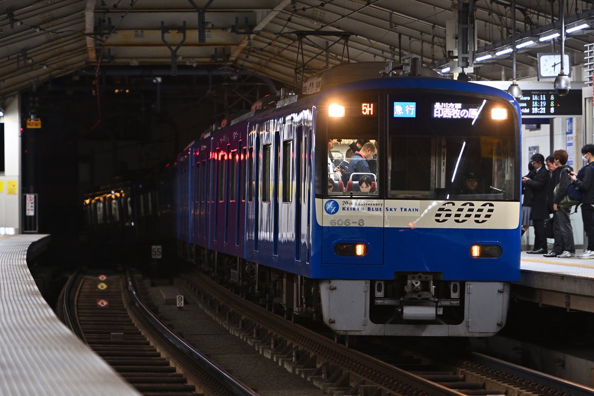 うささく tweet media