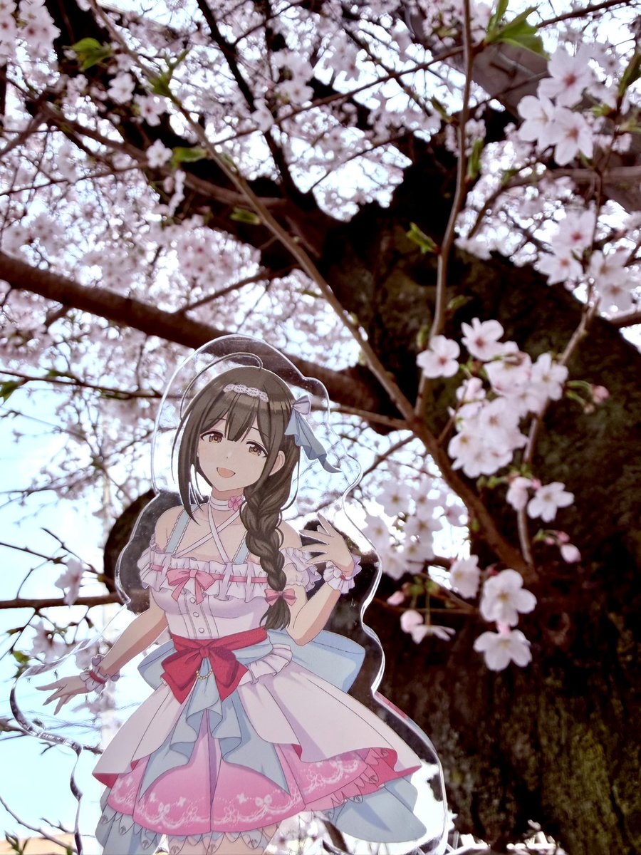 千雪さん✖︎花見
綺麗な桜ですね〜🌸