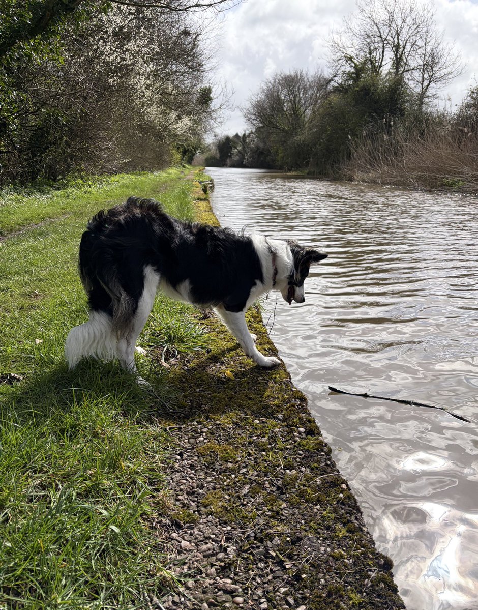 Puppy Bess and Auntie Kes tweet media