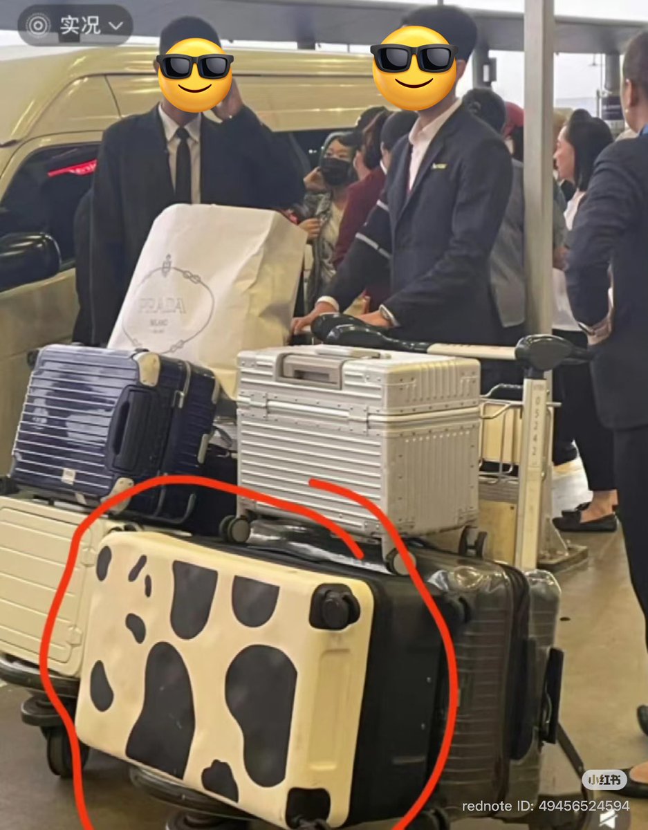 Kate 🥝🦊🐰💖💚 tweet media