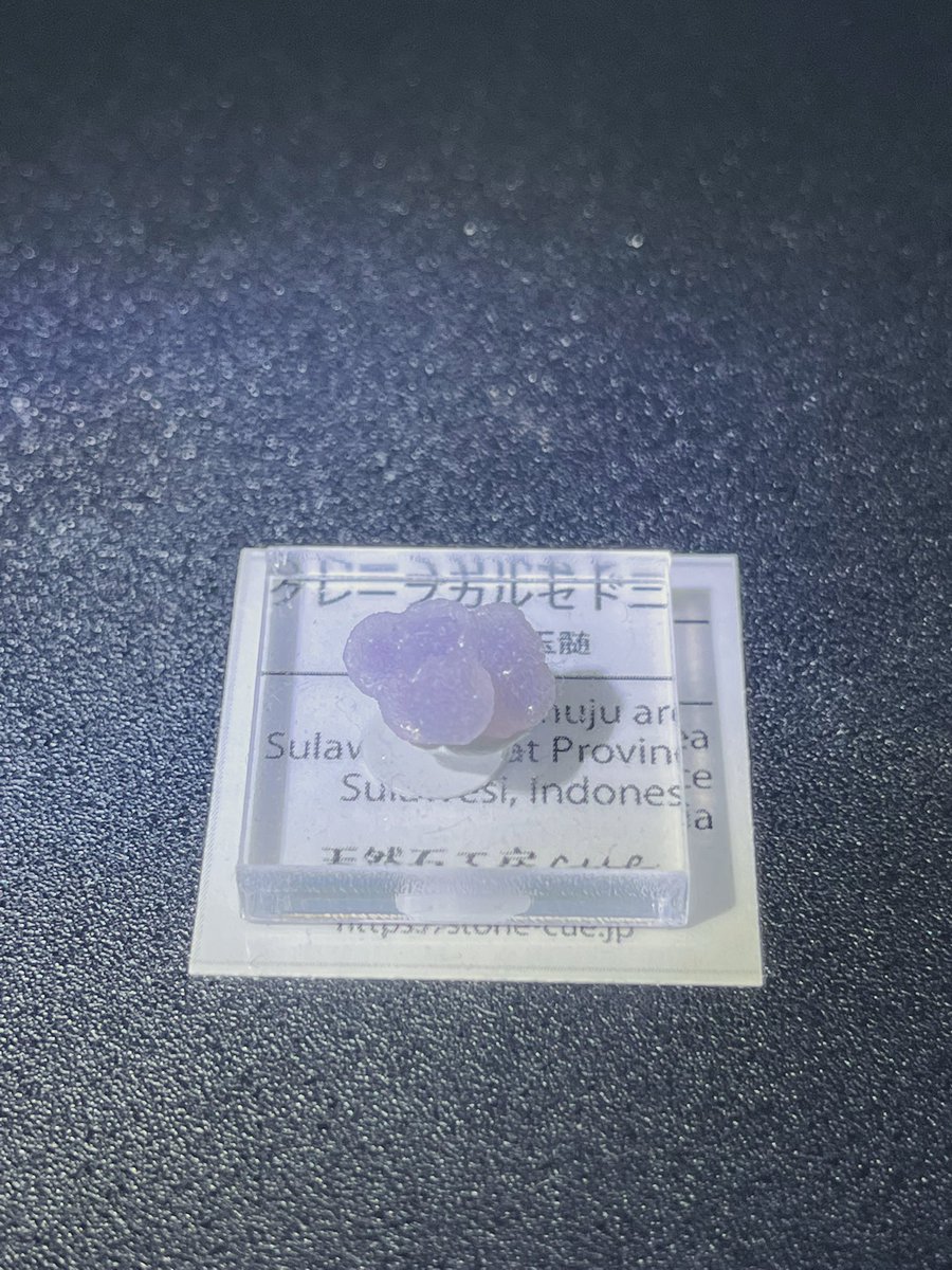 mono_236's tweet photo. 土曜に念願のミネラルマルシェ行った
欲しかった黄鉄鉱も買えたし他にも気になってたやつ色々買えて満足👍
また近くでやってたら行きたい https://t.co/Yfz4mtdcFB