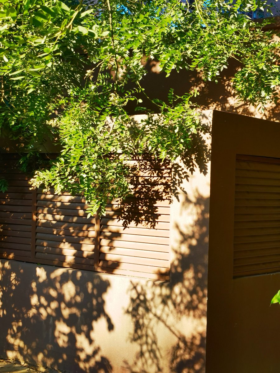 groundtea tweet media