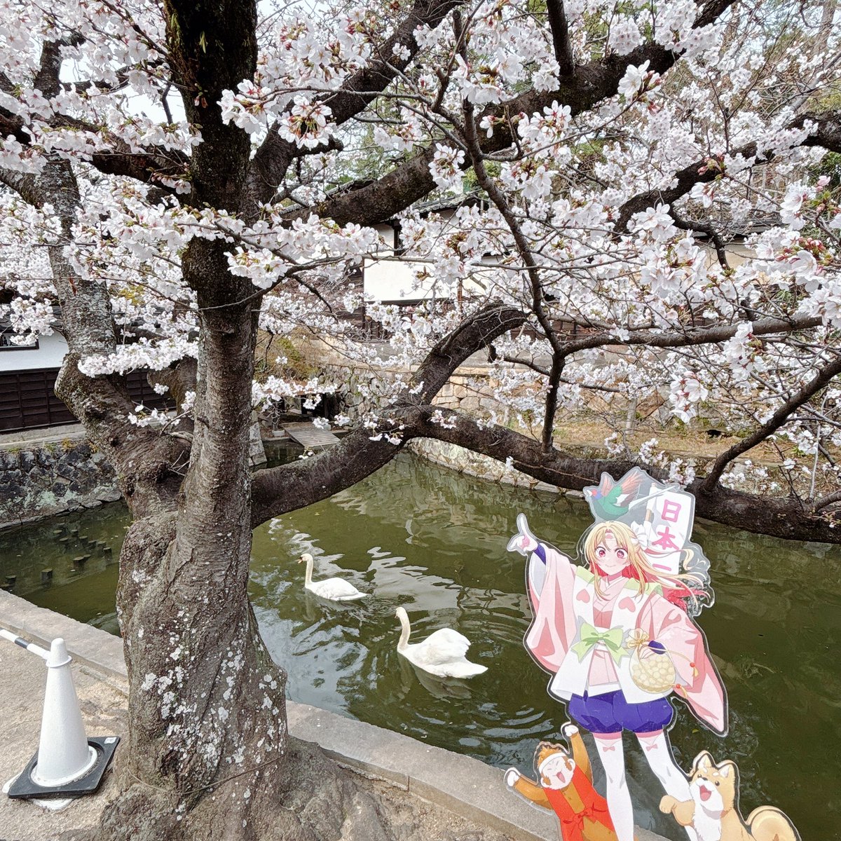 まきこ tweet media