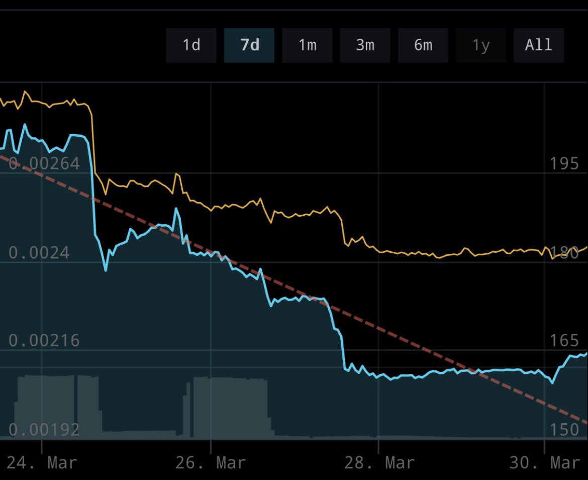 Chris wise tweet media