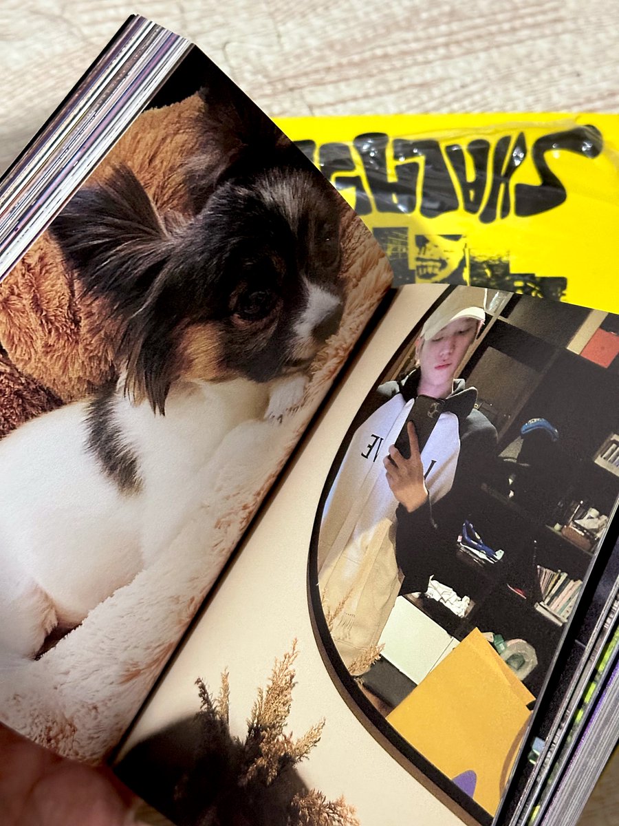 แคร์รอตเอง🥕🌹 tweet media