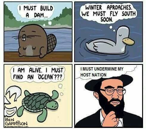 PanzerWizard tweet media